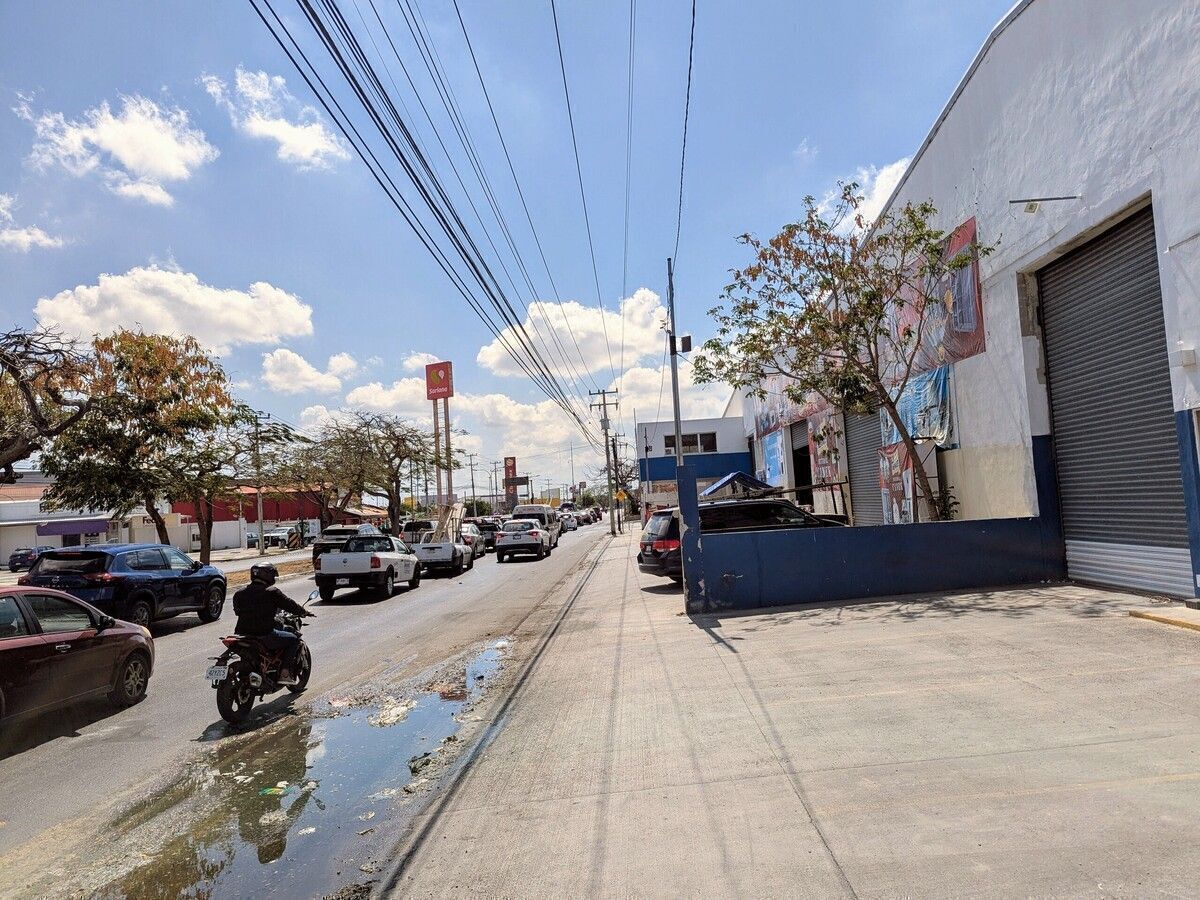 12 de 12