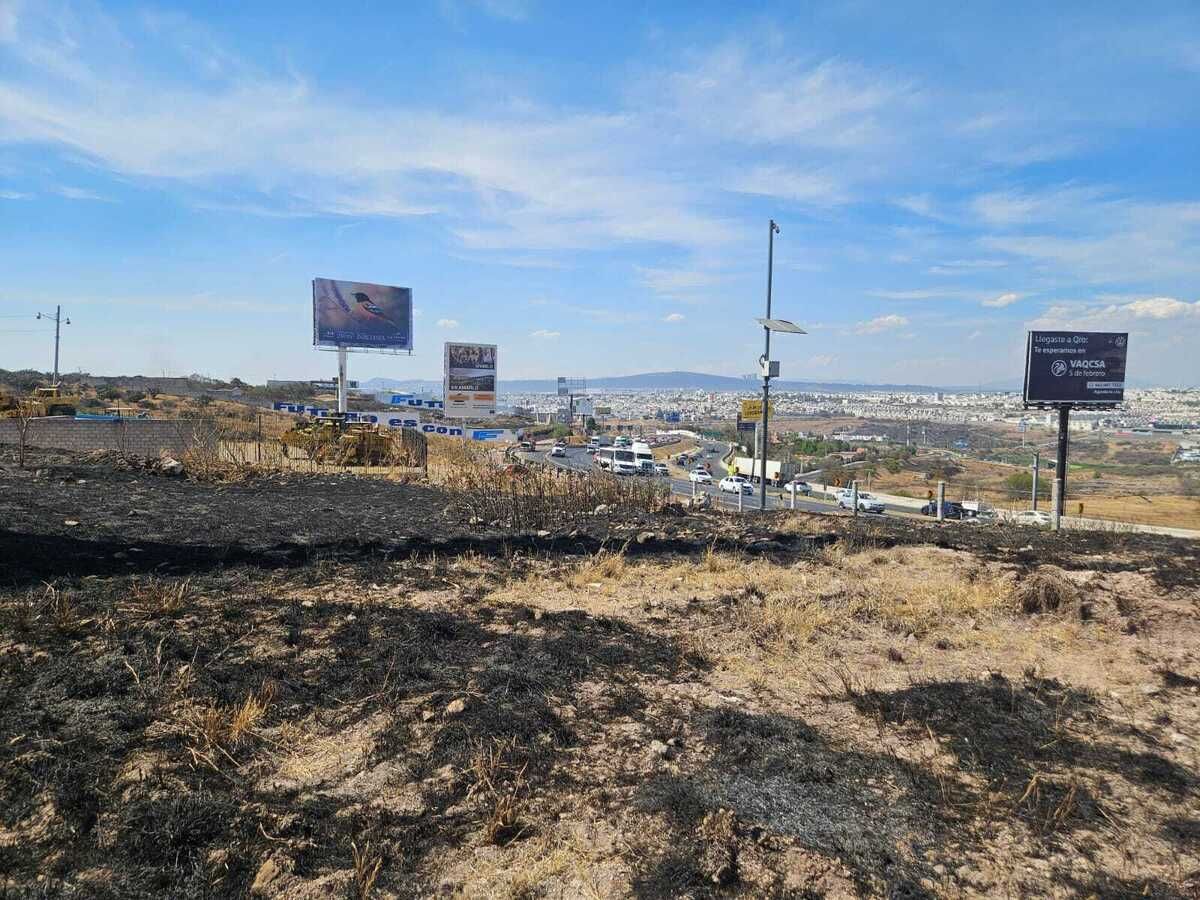 6 de 17