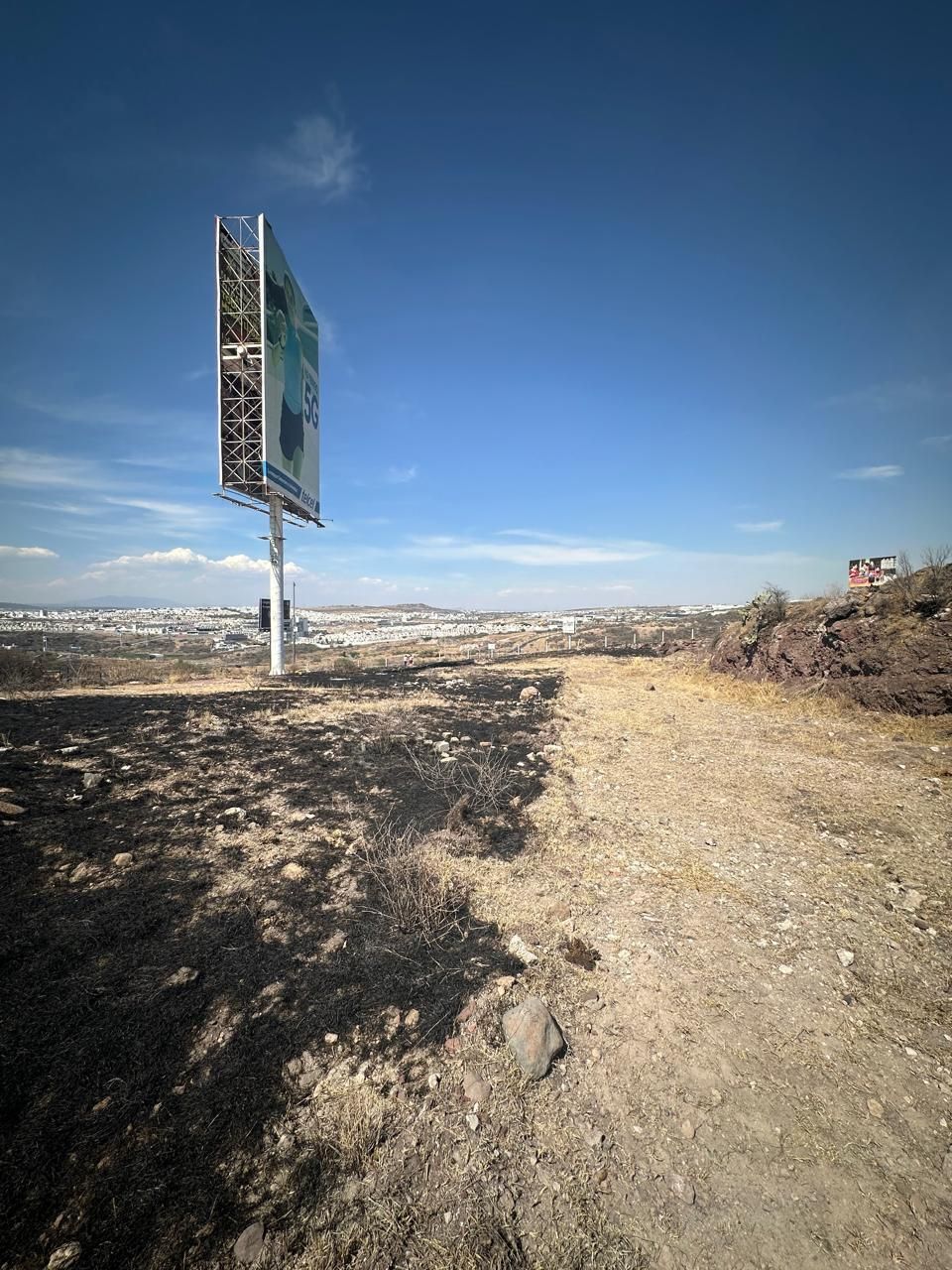 12 de 17