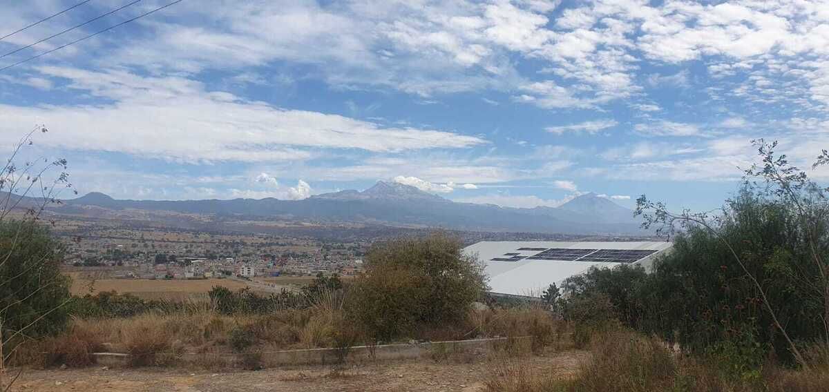 5 de 31