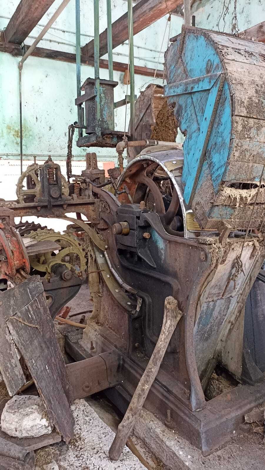 10 de 10