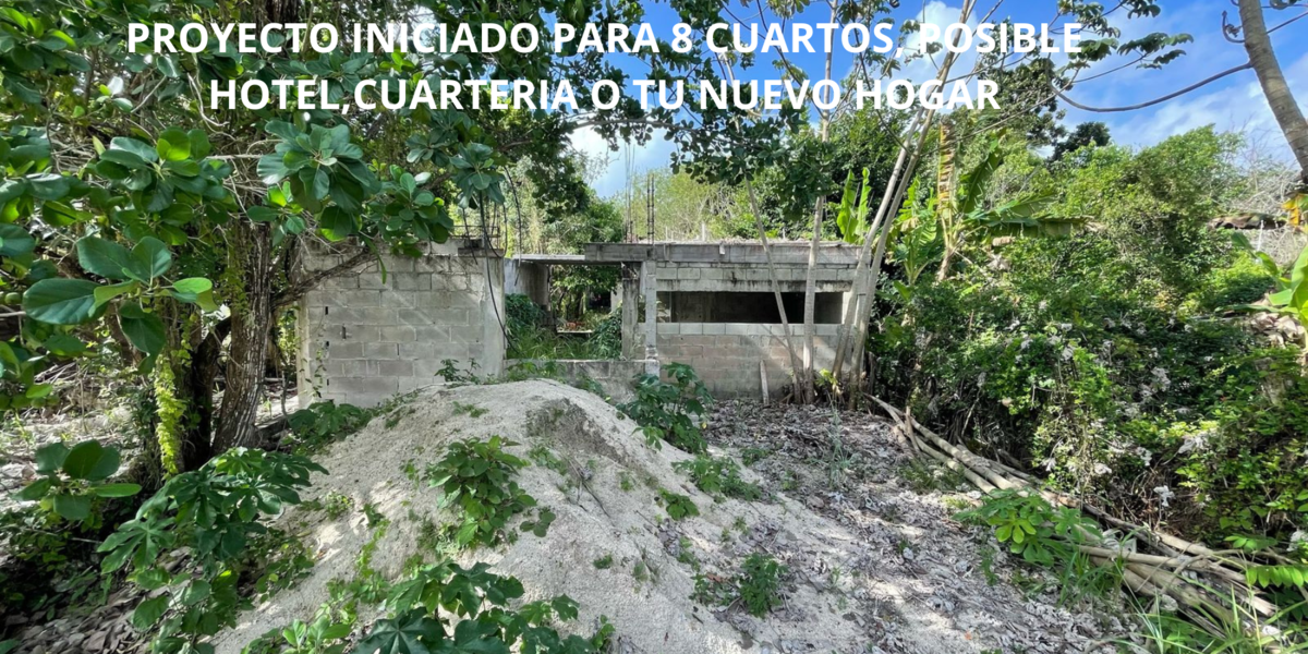 3 de 6