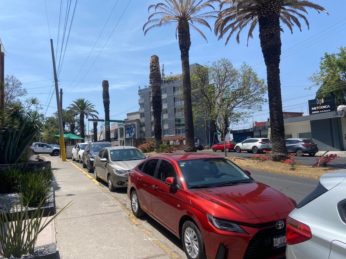 5 de 19