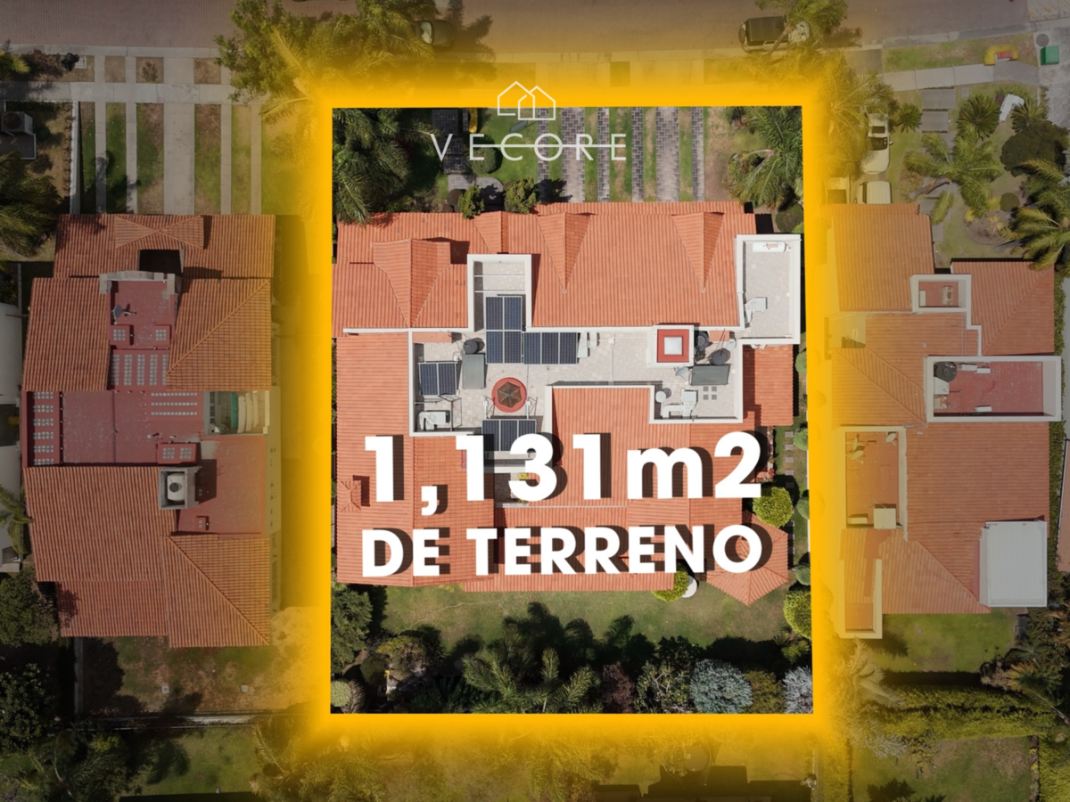 29 de 31