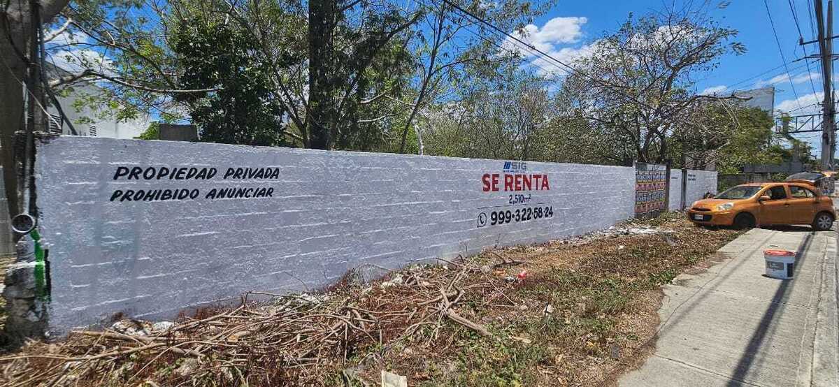 3 de 6