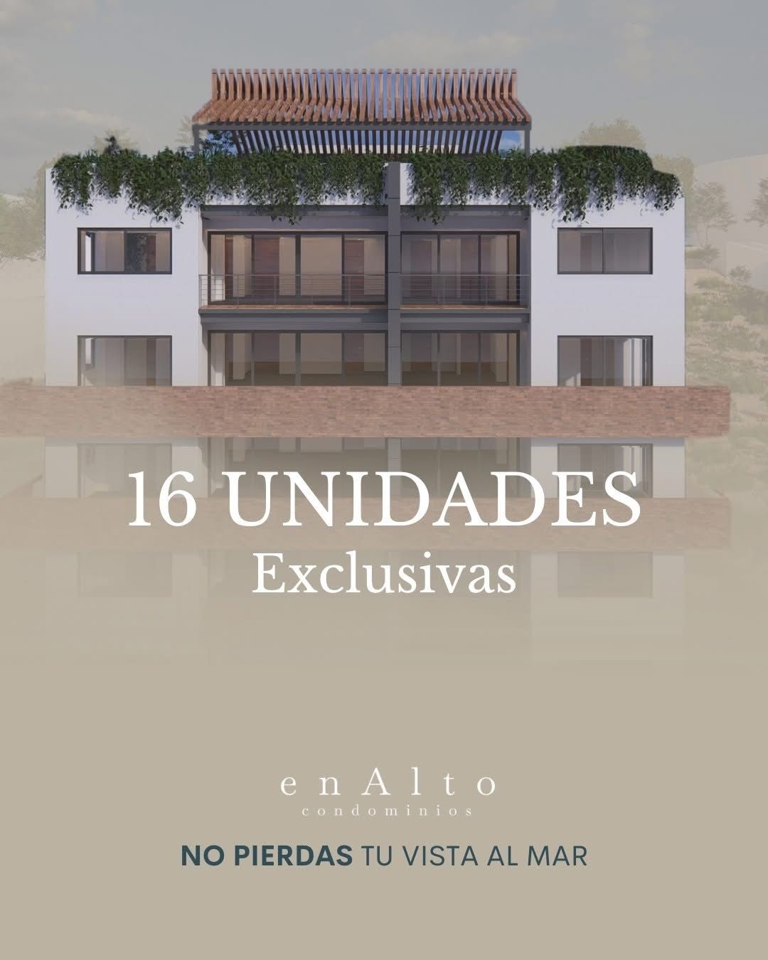 4 de 8