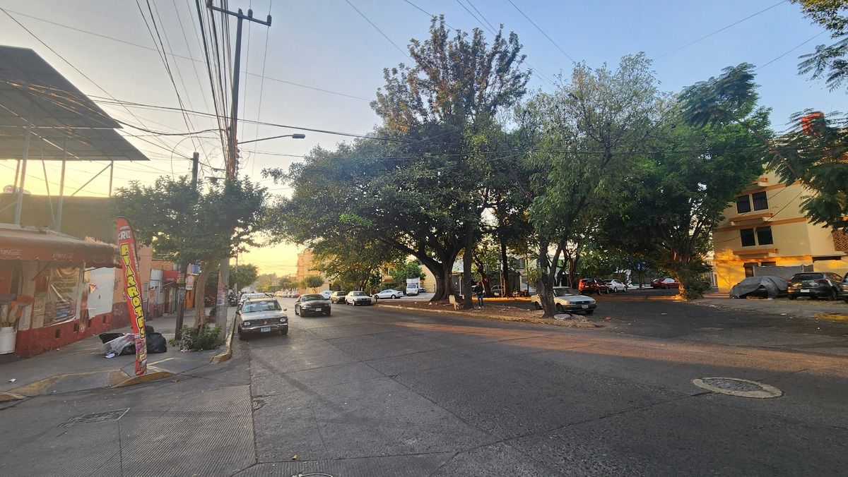 2 de 12