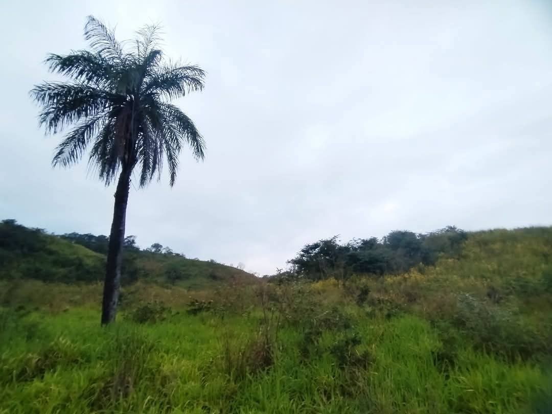 2 de 6