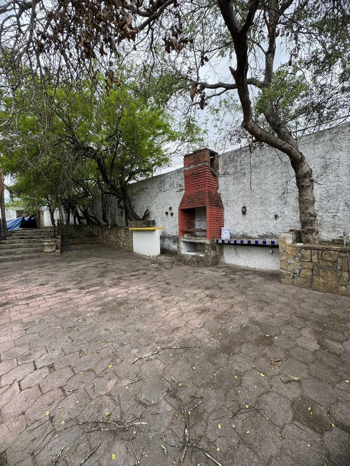 3 de 19