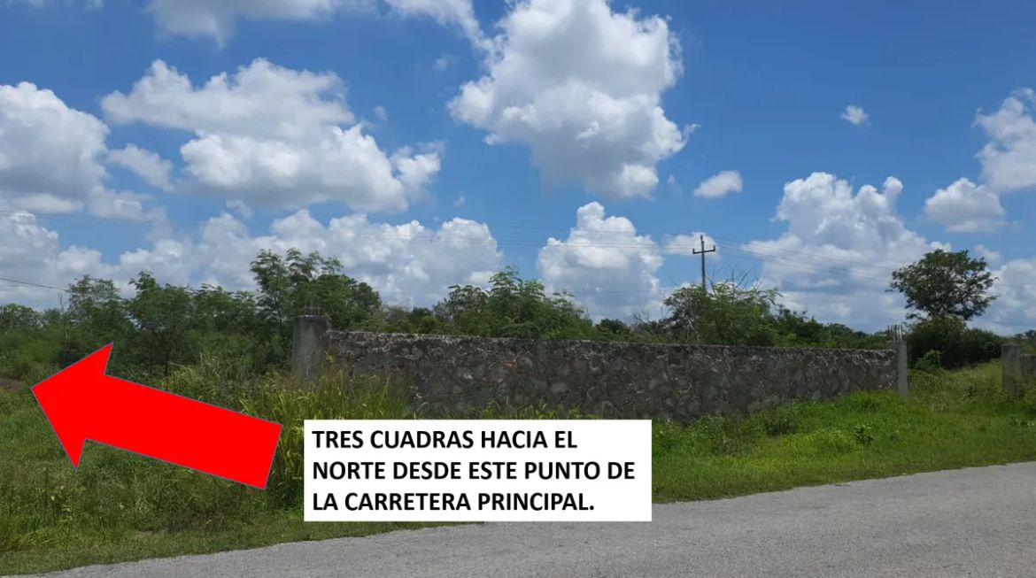 5 de 6
