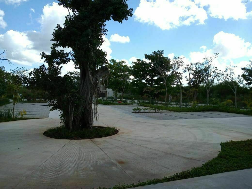 13 de 26