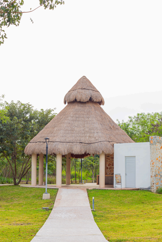 4 de 9: Palaba