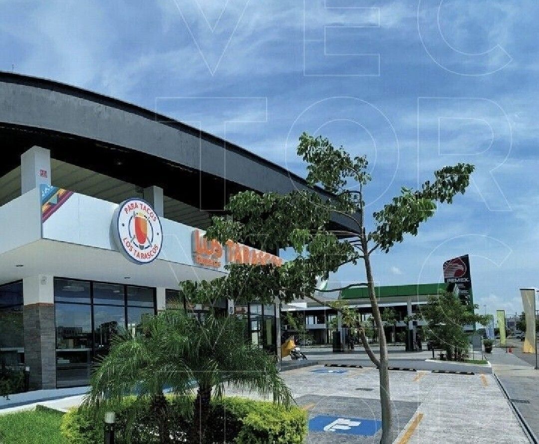 5 de 8