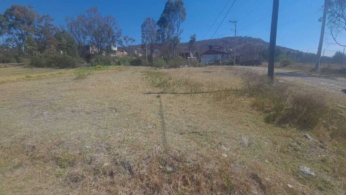 3 de 12
