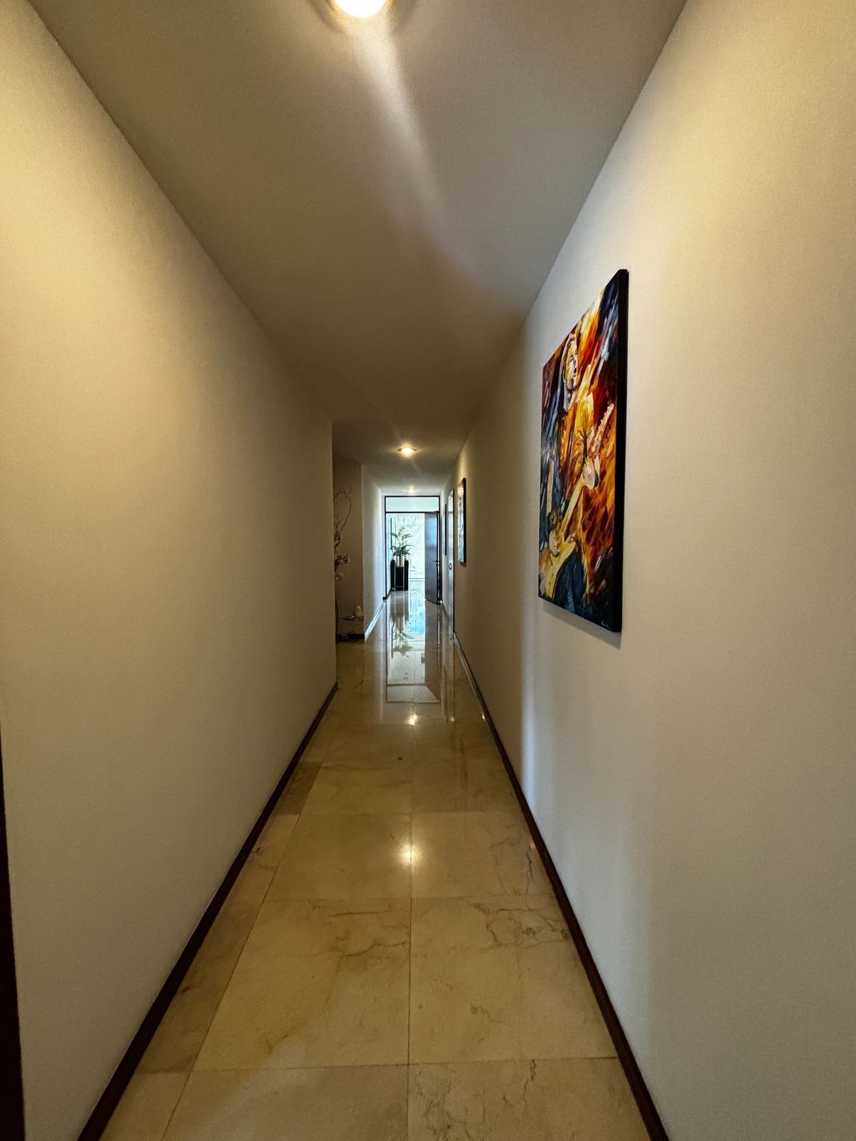 5 de 42: Pasillo de Distribución