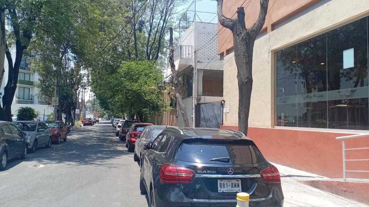 4 de 6
