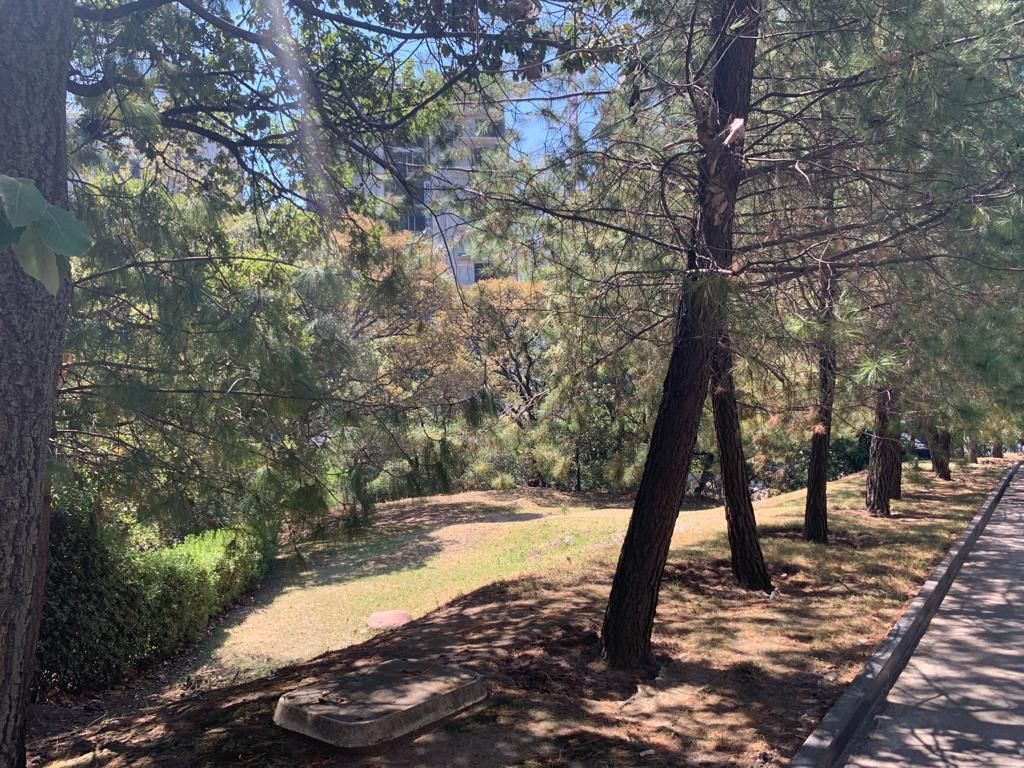 Terreno en Venta en Cumbres de Santa Fe - foto 3