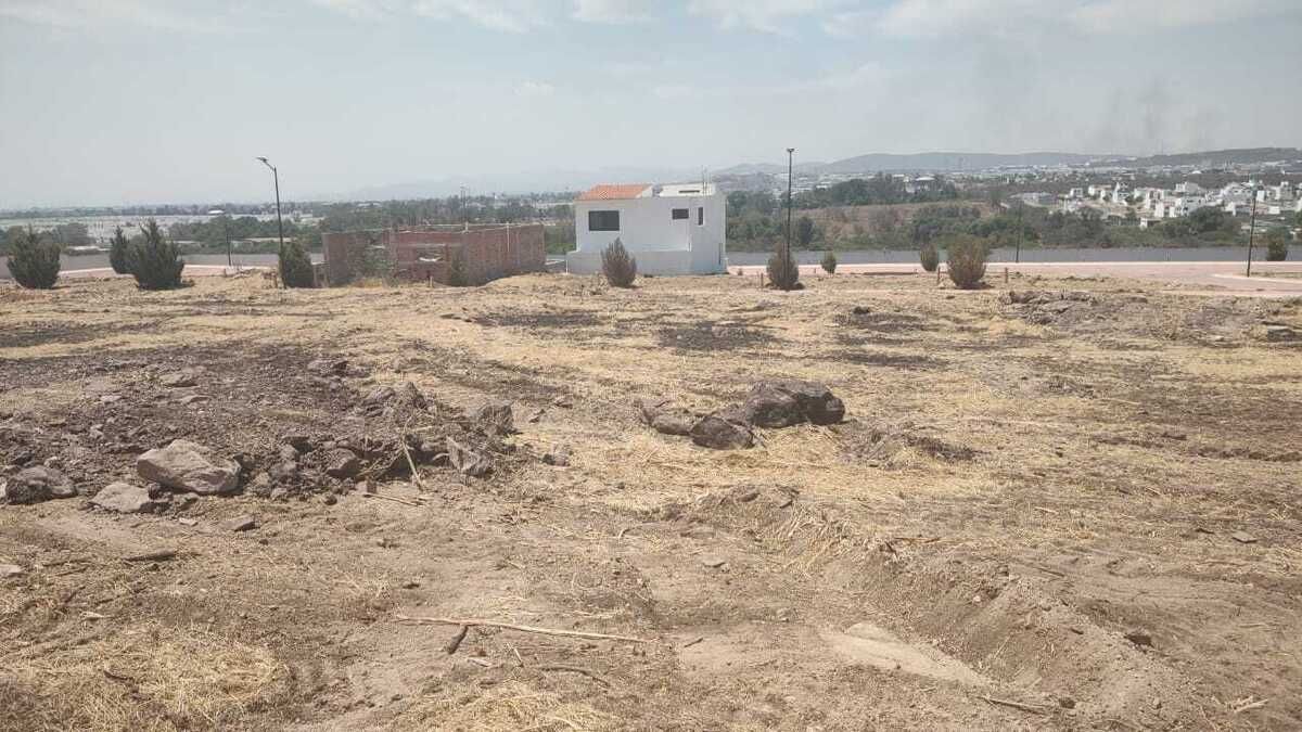 7 de 12