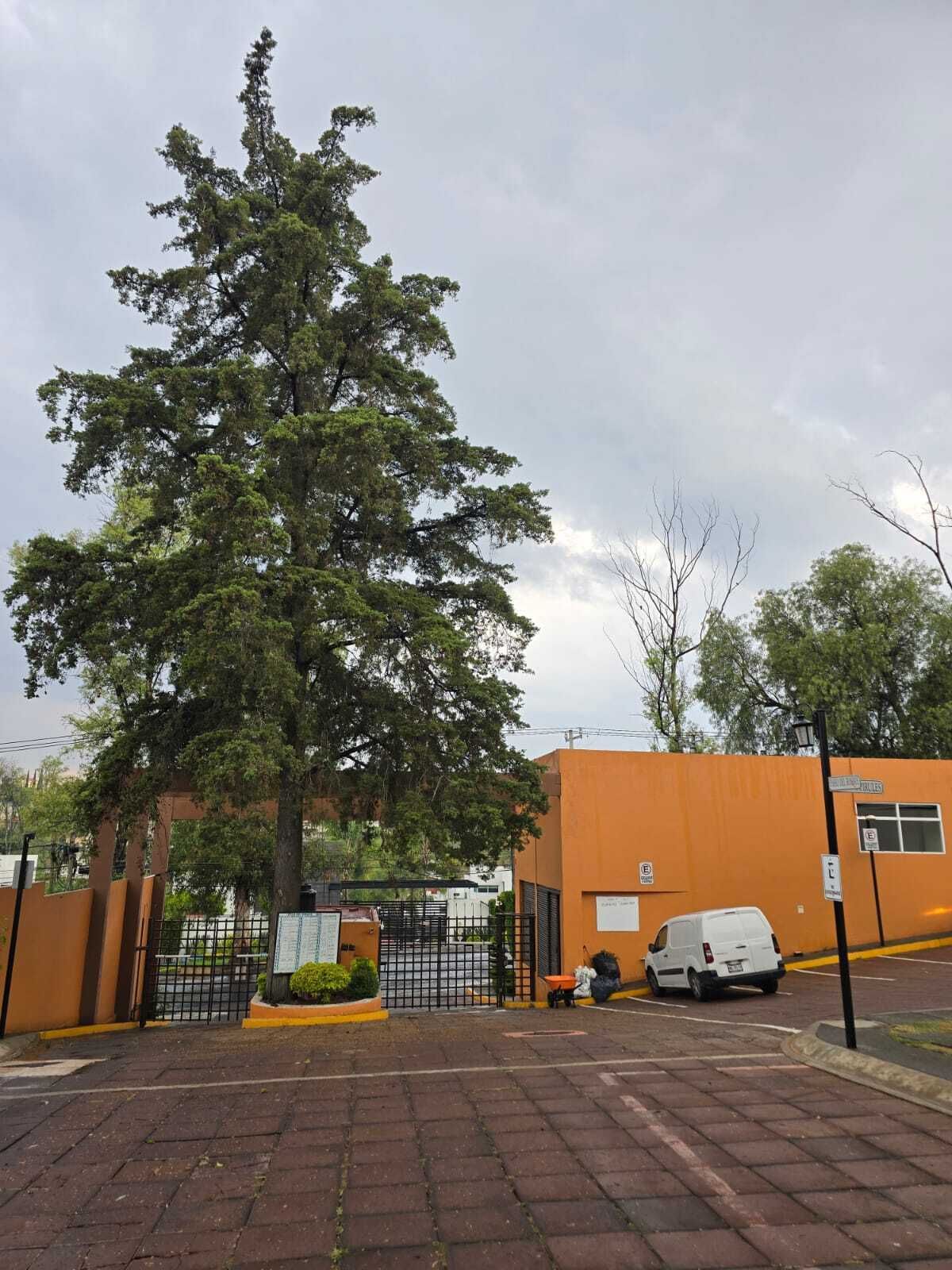 2 de 47