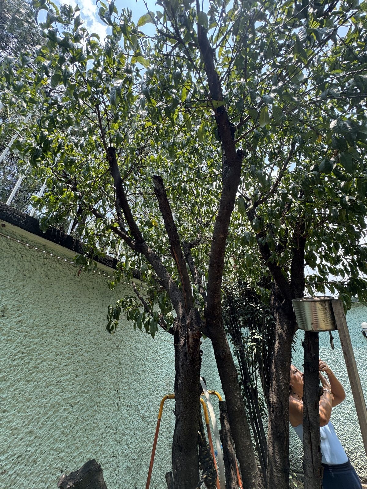 1 de 45