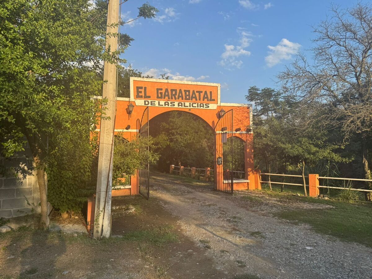 Imagen 3 de 10