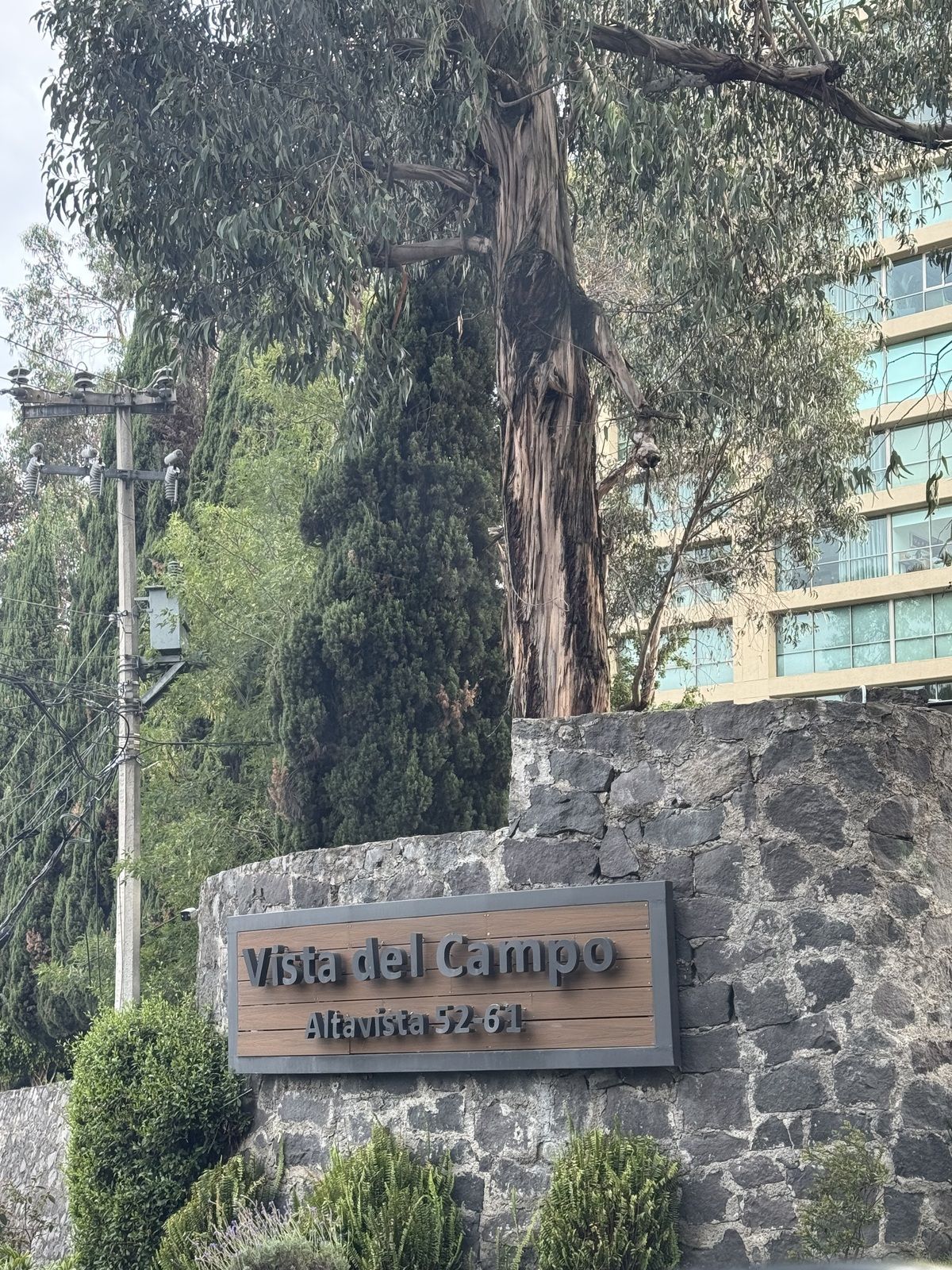 14 de 19