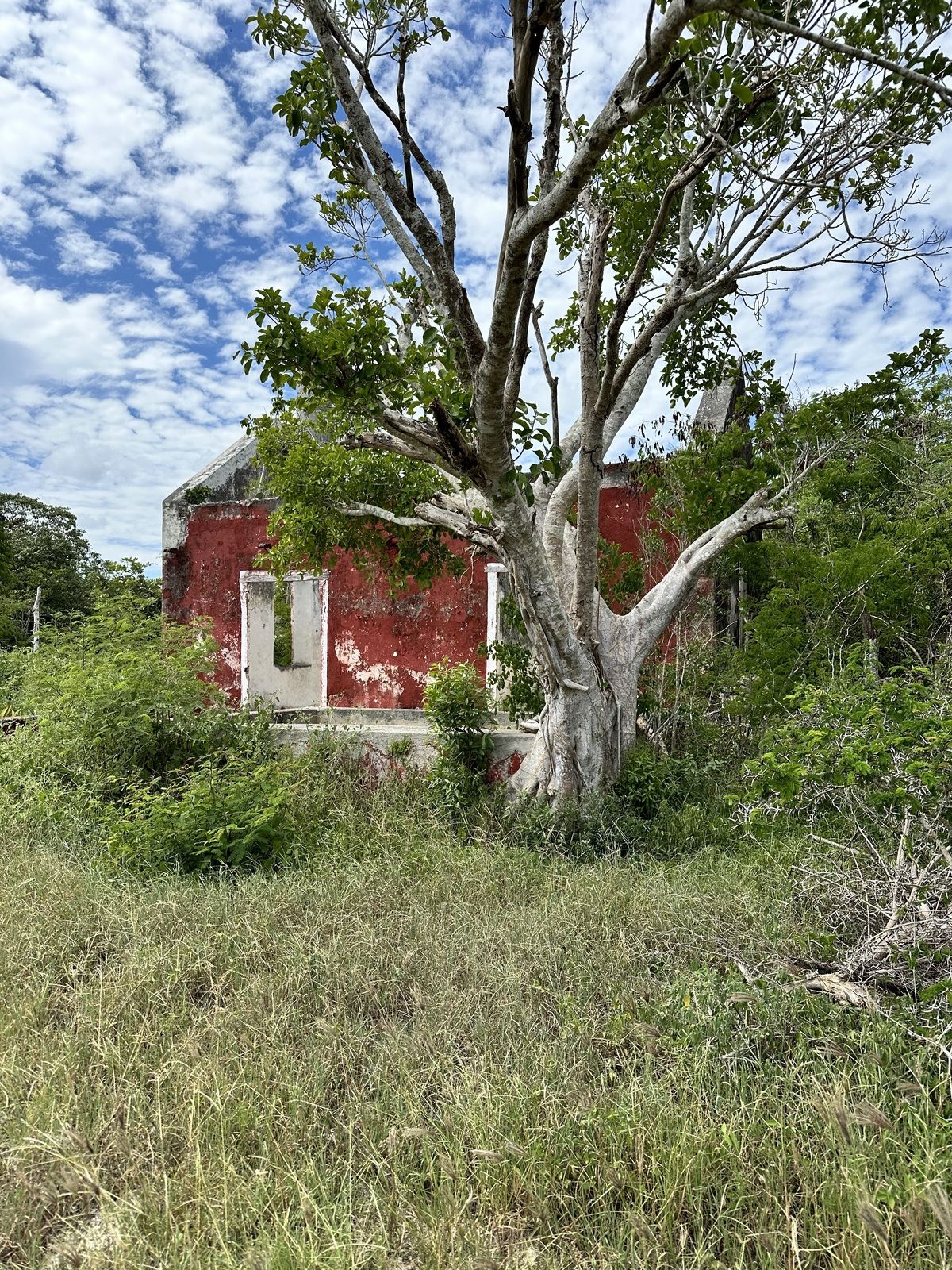 6 de 7