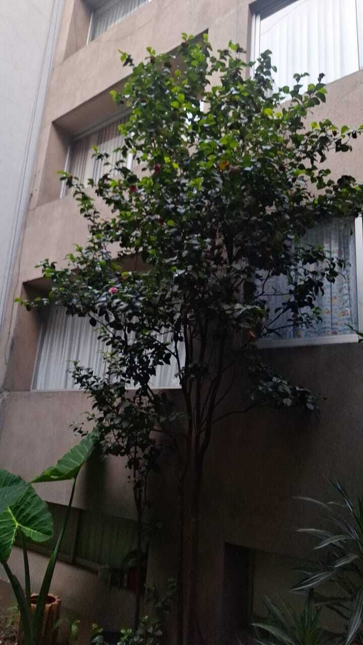 1 de 13