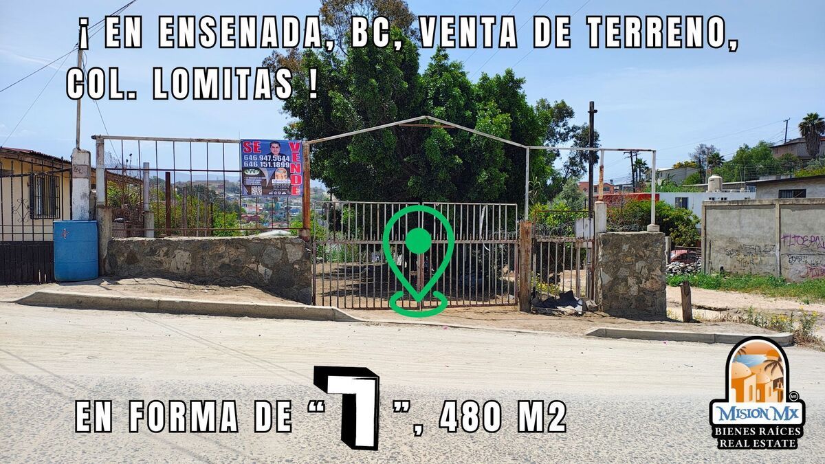 1 de 12