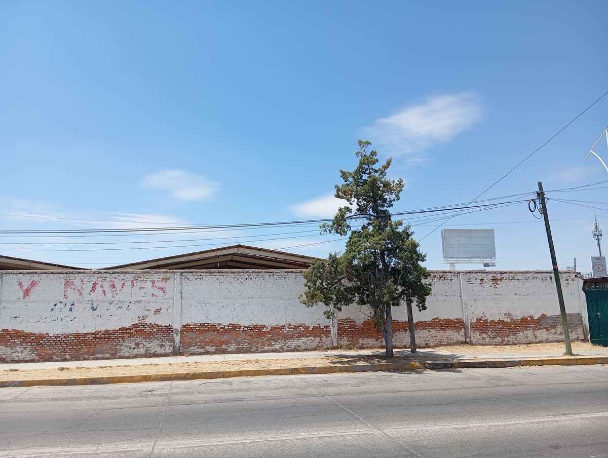 4 de 6