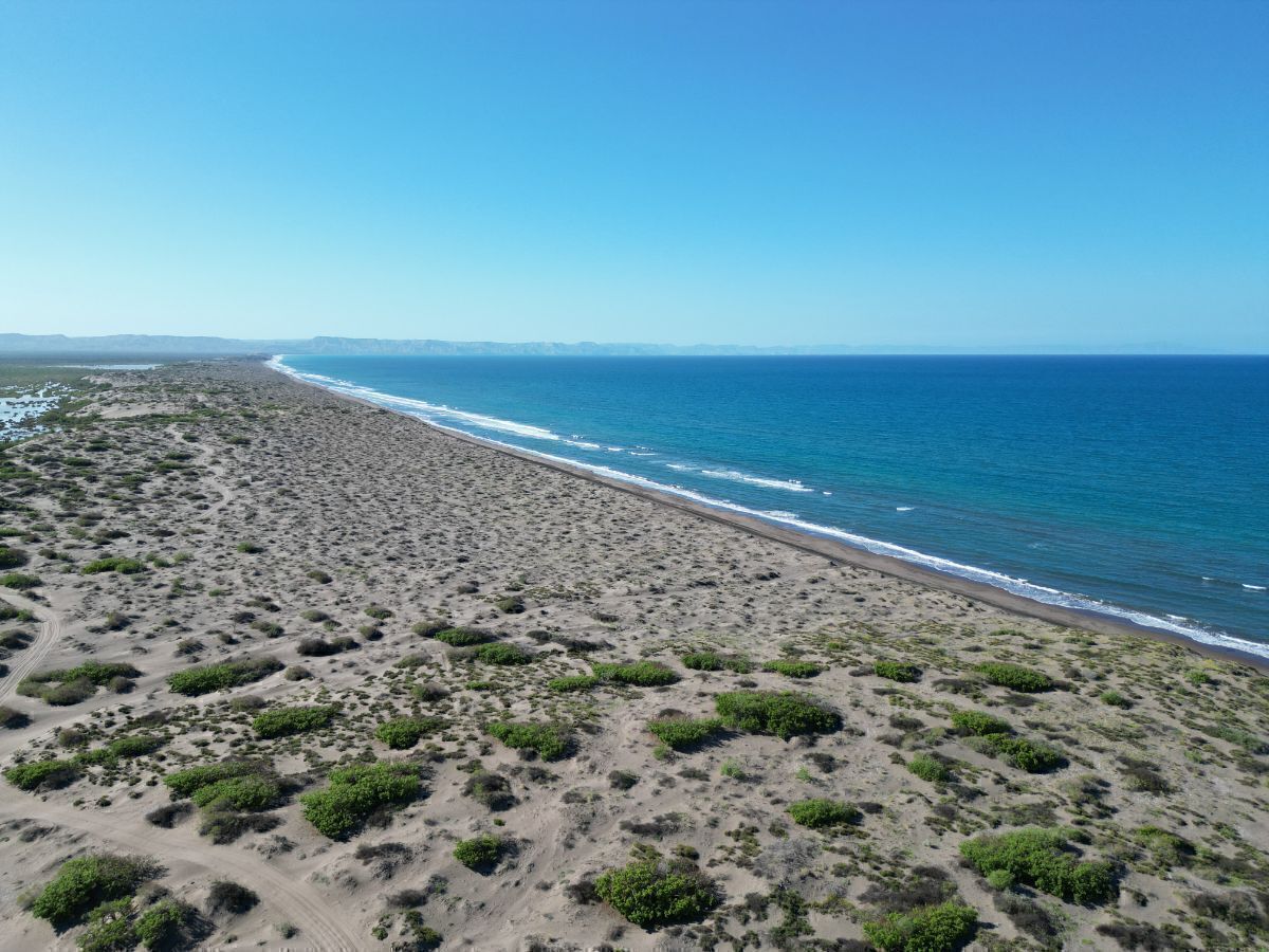 3 de 15