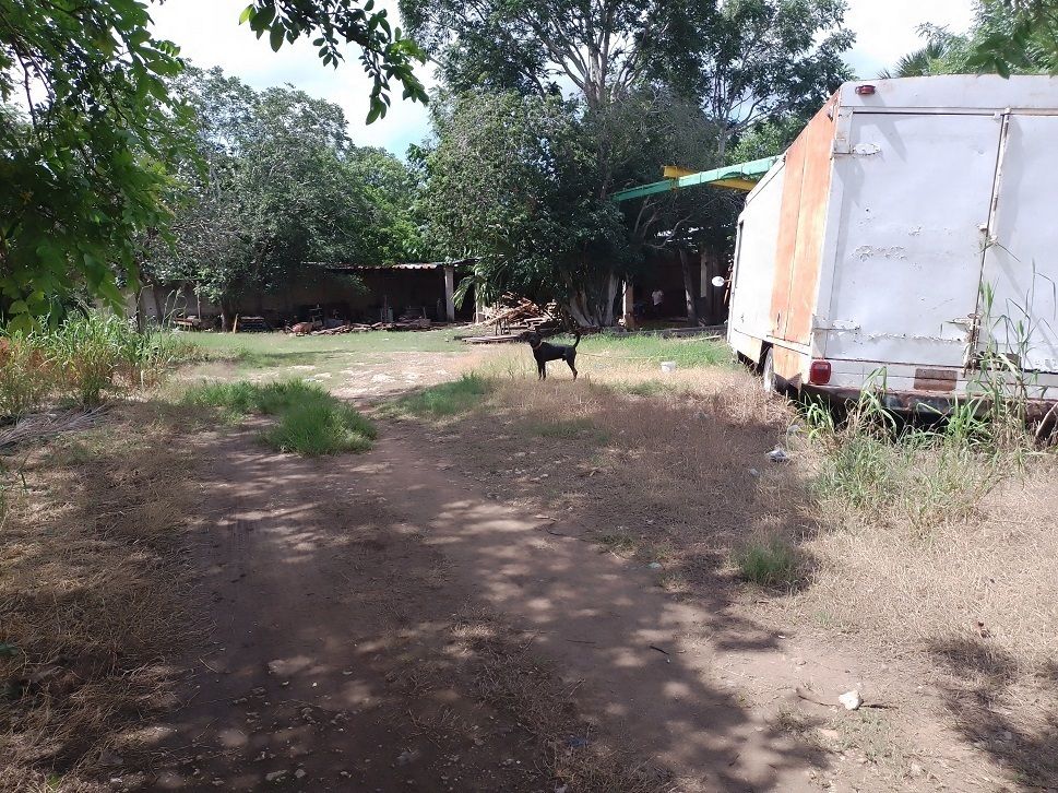 3 de 4