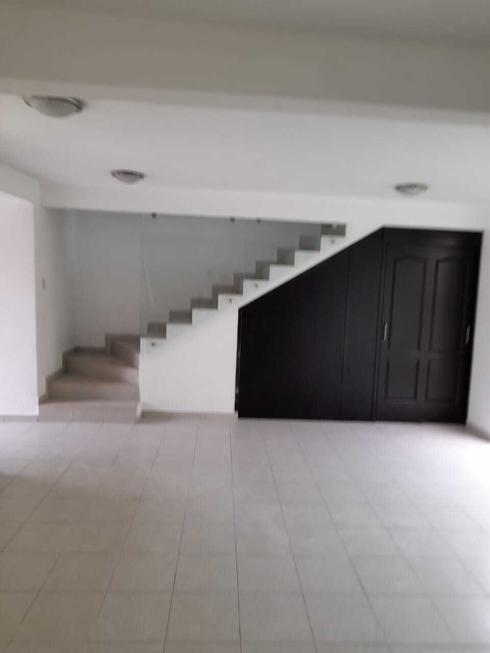 3 de 17