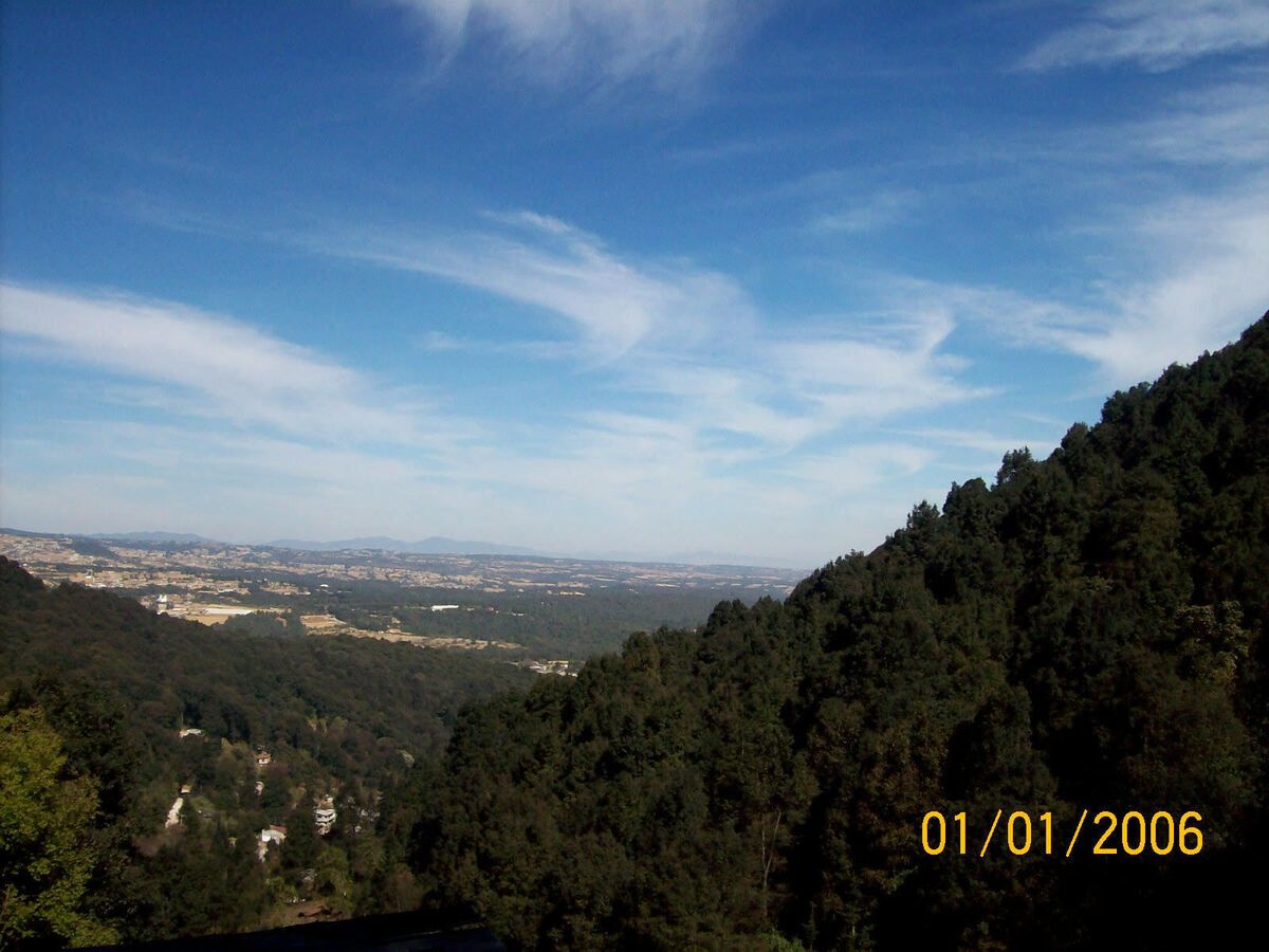 Imagen 4 de 8