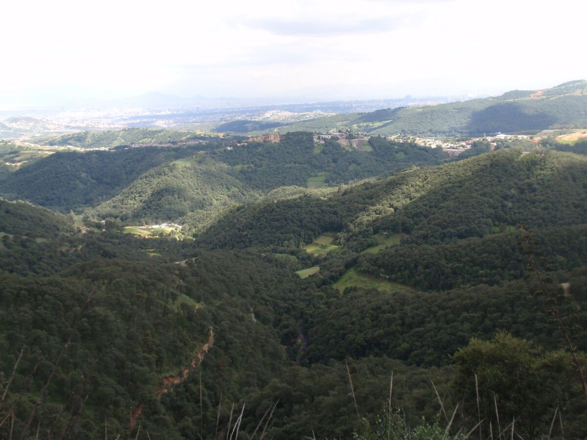 Imagen 6 de 8