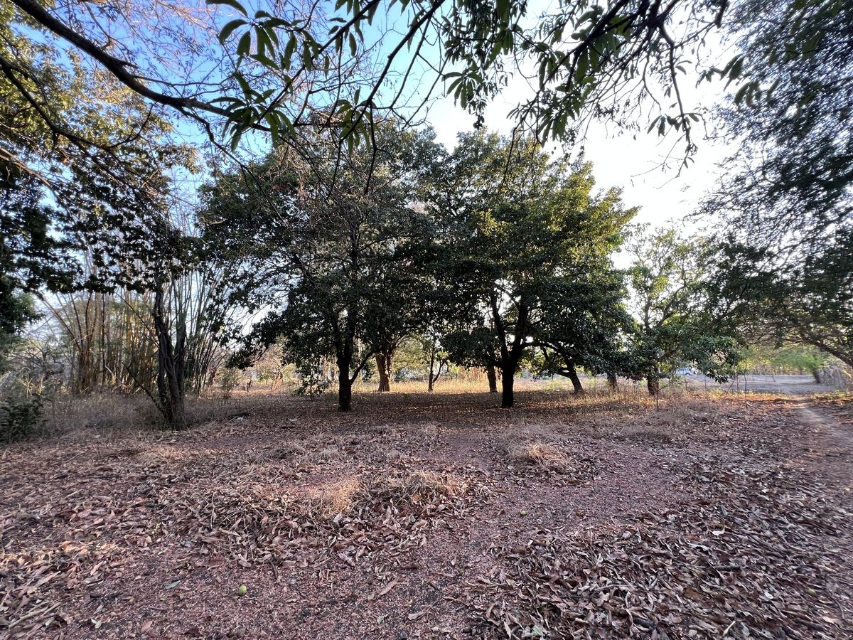 4 de 4