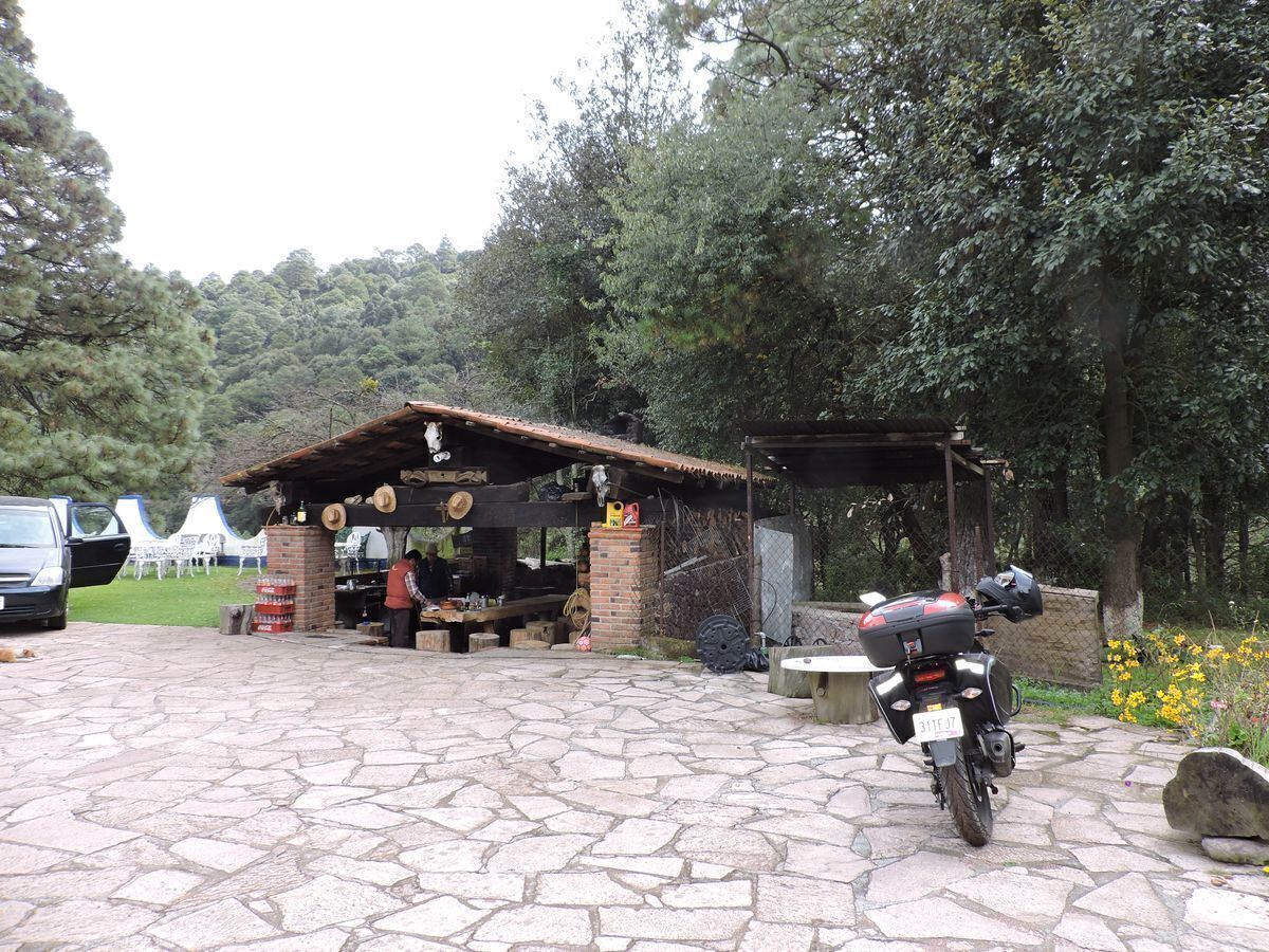 6 de 46