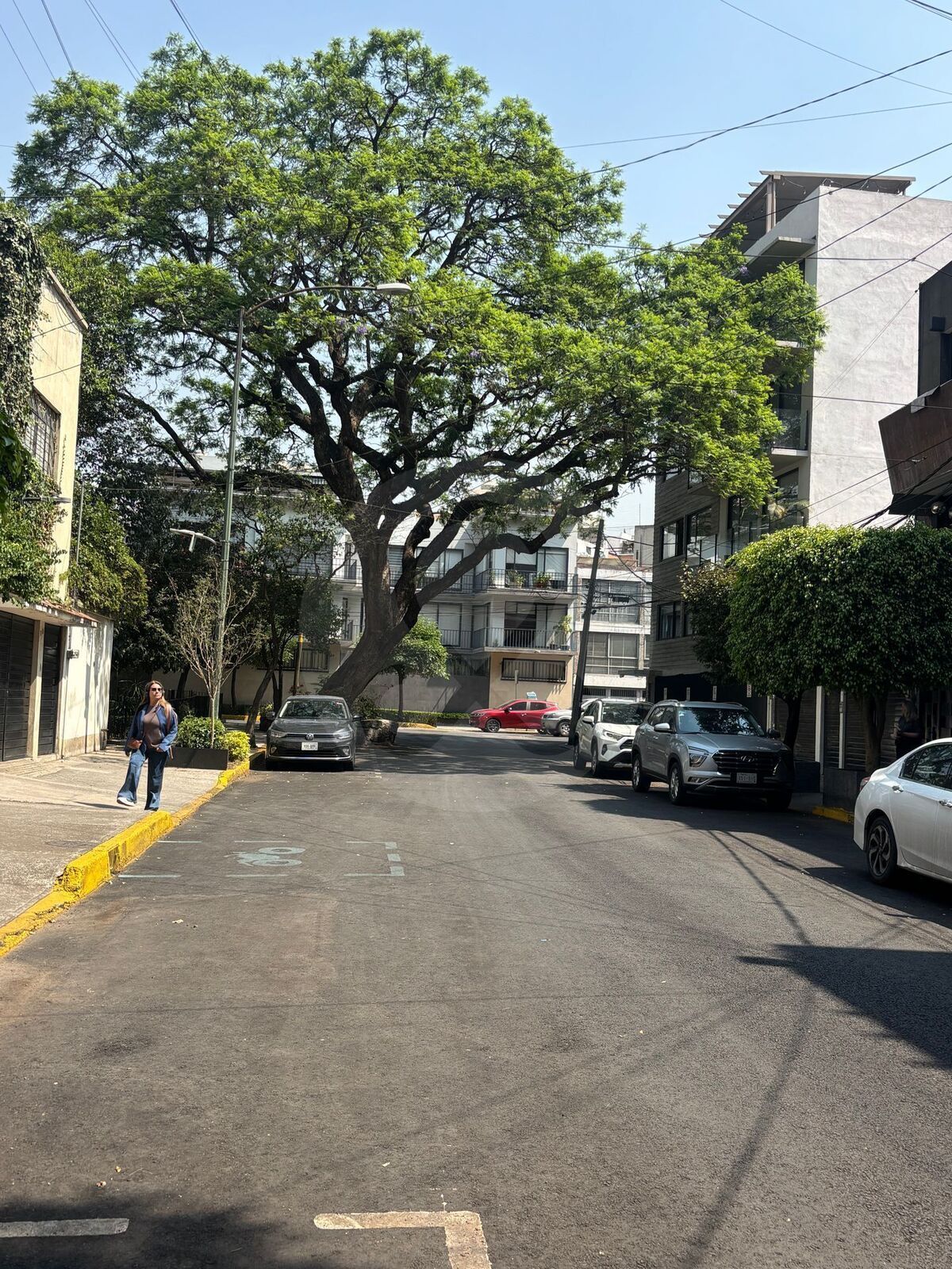 5 de 16