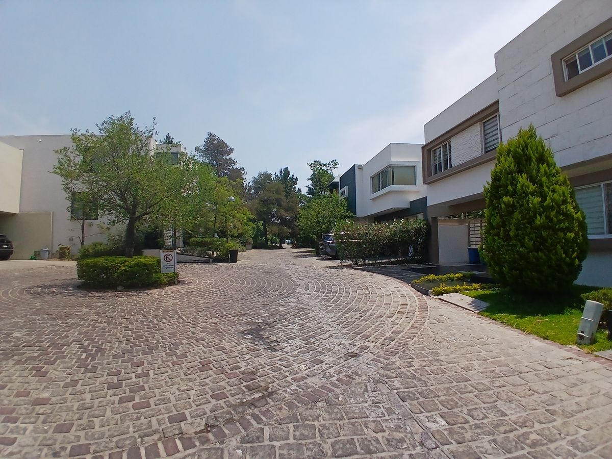 7 de 7: calle de terreno 1