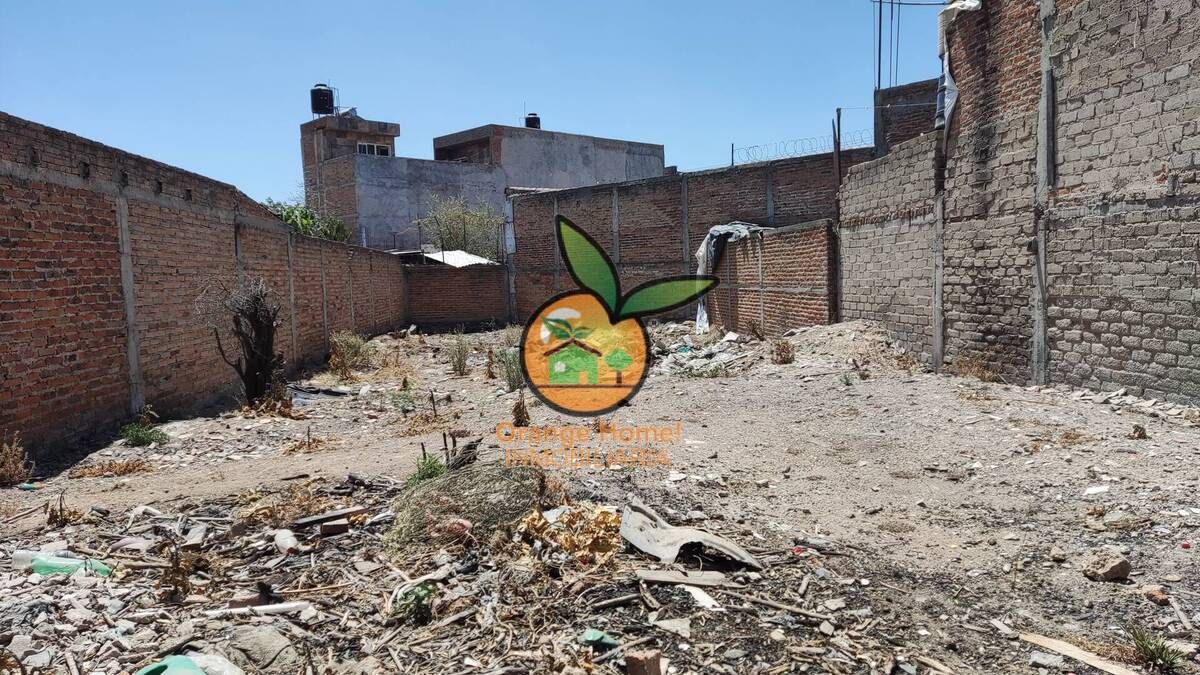 Imagen 5 de 10