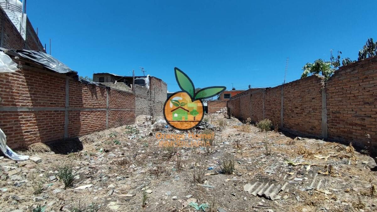 Imagen 8 de 10