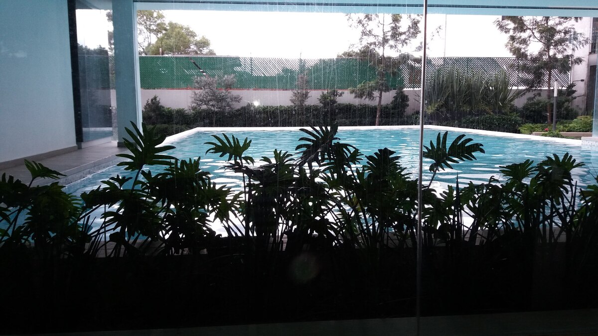 12 de 17: Alberca del condominio