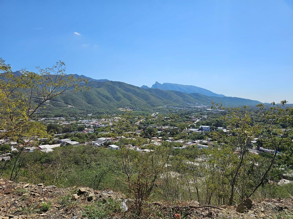 4 de 22
