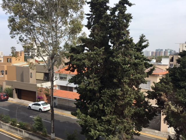 5 de 17