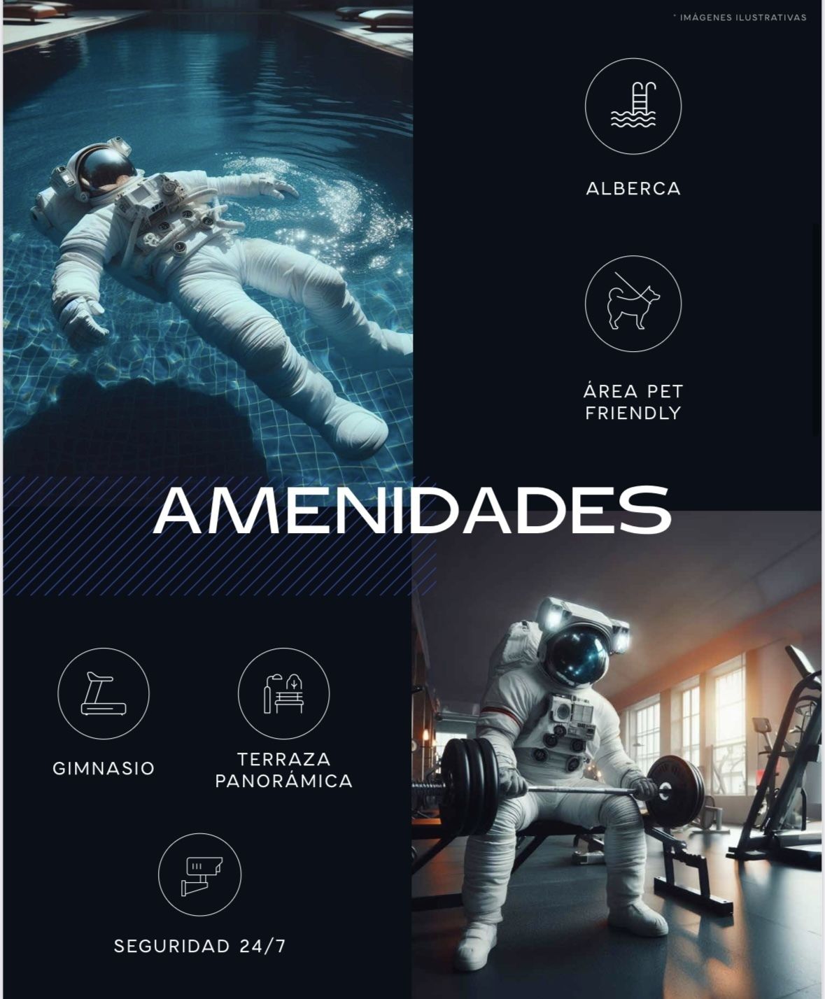 3 de 6