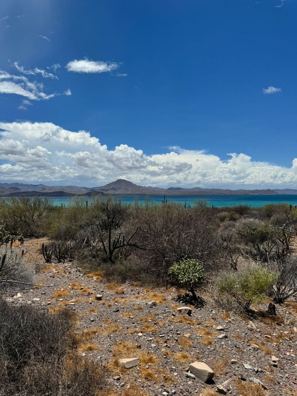 1 de 14: Vista  Panoramica