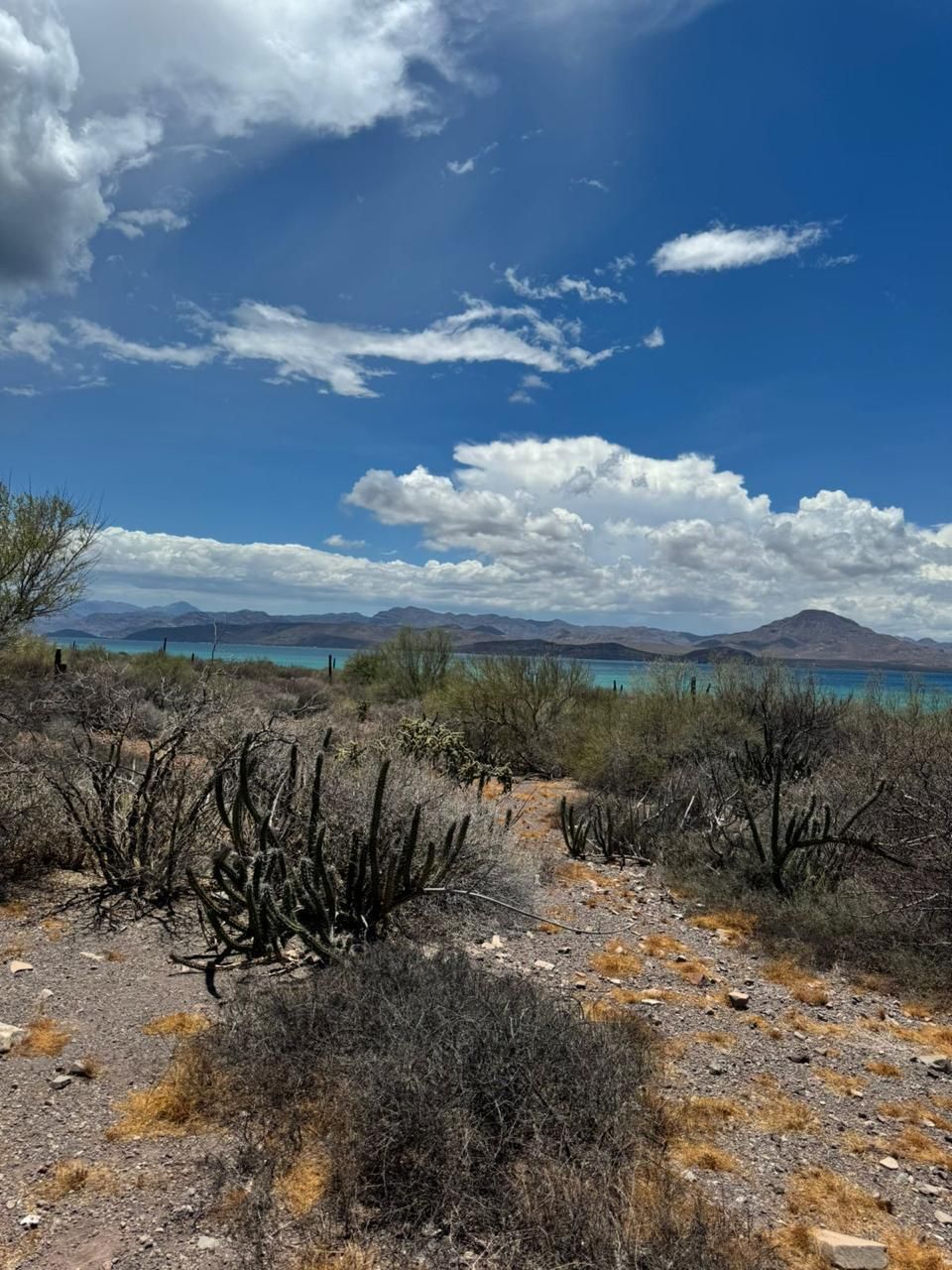 6 of 16: Vista panorámica  a Mulege