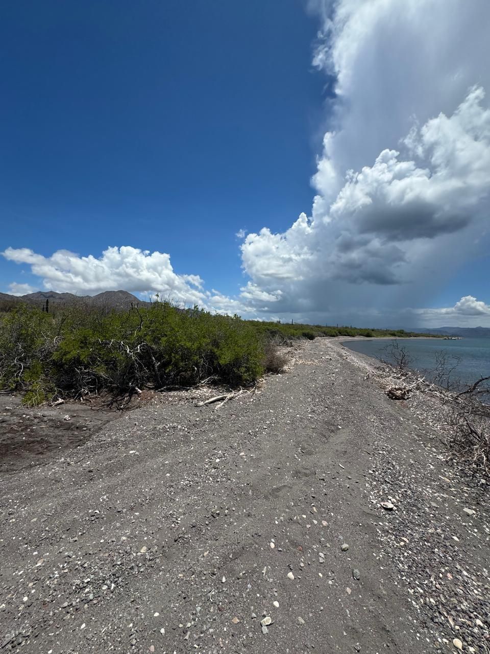 4 of 16: Vista desde playa