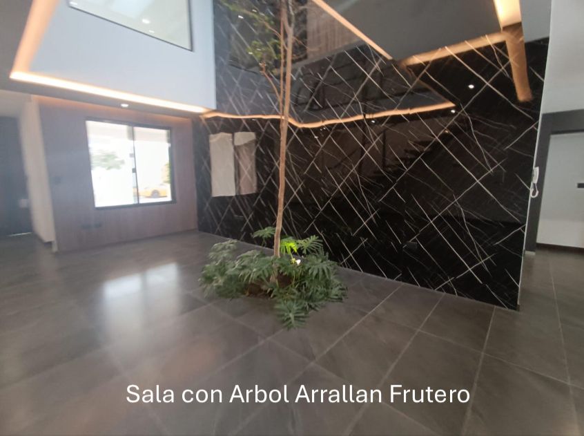 Imagen 4 de 10