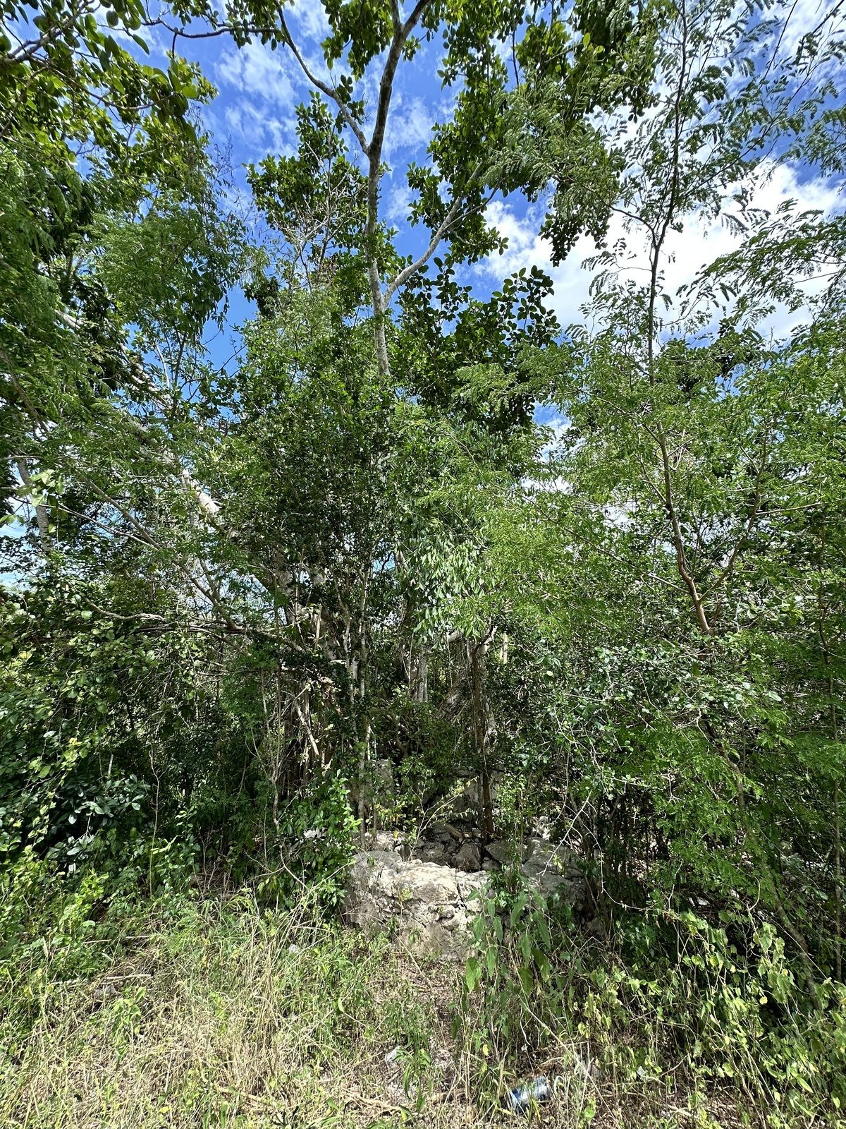 3 de 4